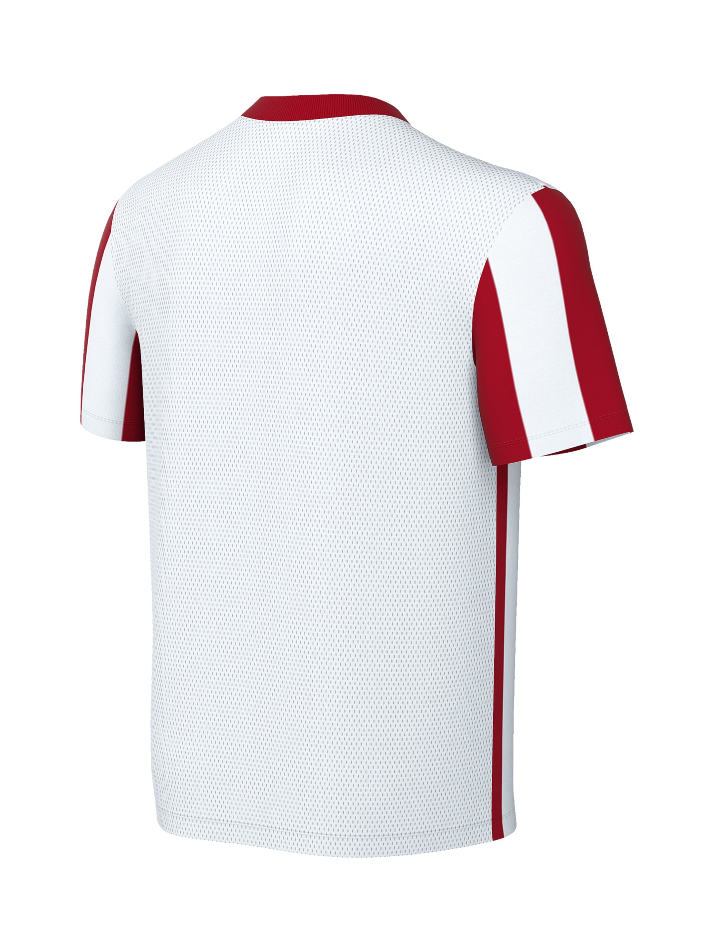 NIKE Performance Shirt 'Division V' in Red