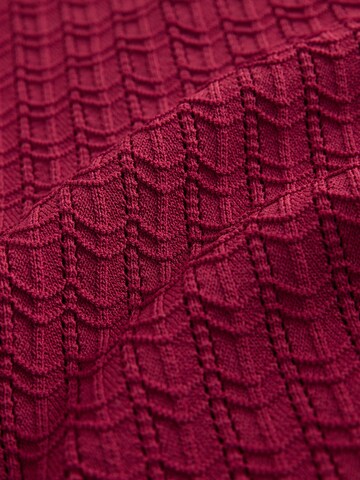 Next Strickjacke in Rot