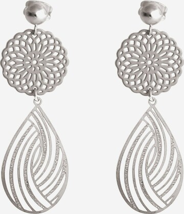 Gemshine Earrings in Silver: front