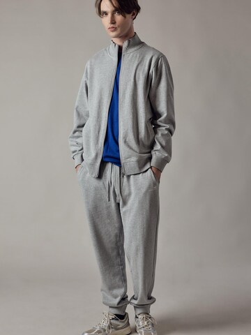 regular Pantaloni 'Joggers Felpati' di OWN Off With Nature in grigio: frontale