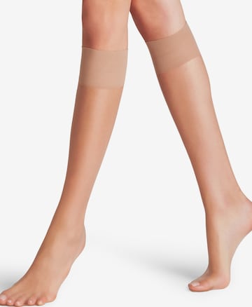 FALKE Polvisukat 'Shelina' värissä beige: etupuoli