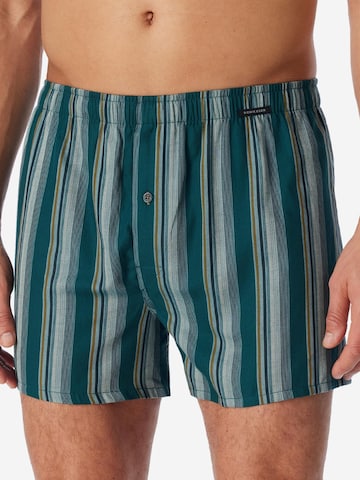 SCHIESSER Boxershorts 'Web' in Groen