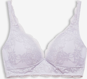 ESPRIT Triangle Bra in Purple: front