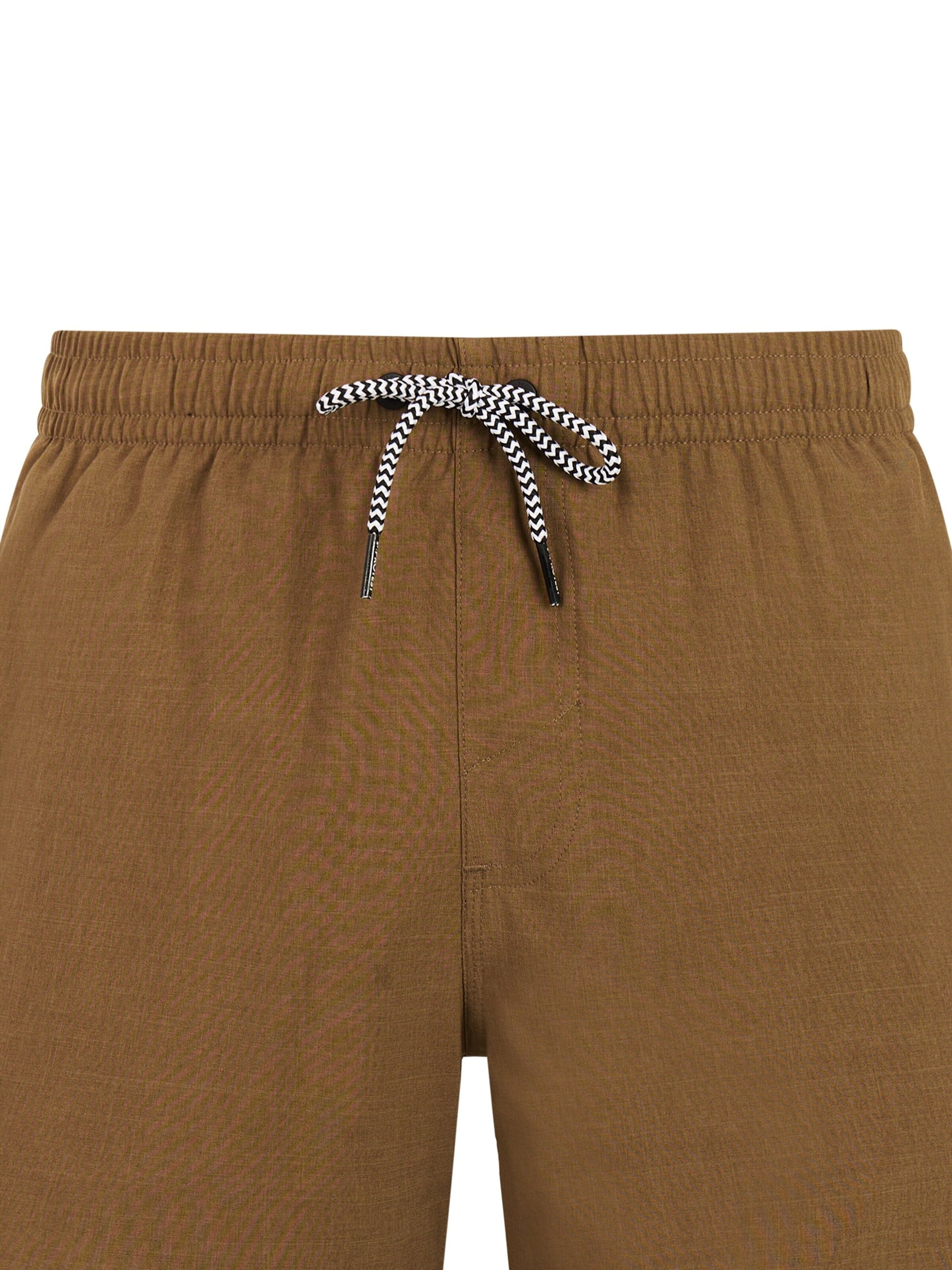 PROTEST Swimming shorts 'Davey' in Brown