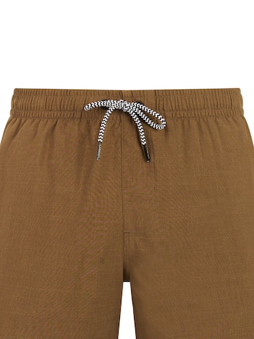 PROTEST Swimming shorts 'Davey' in Brown