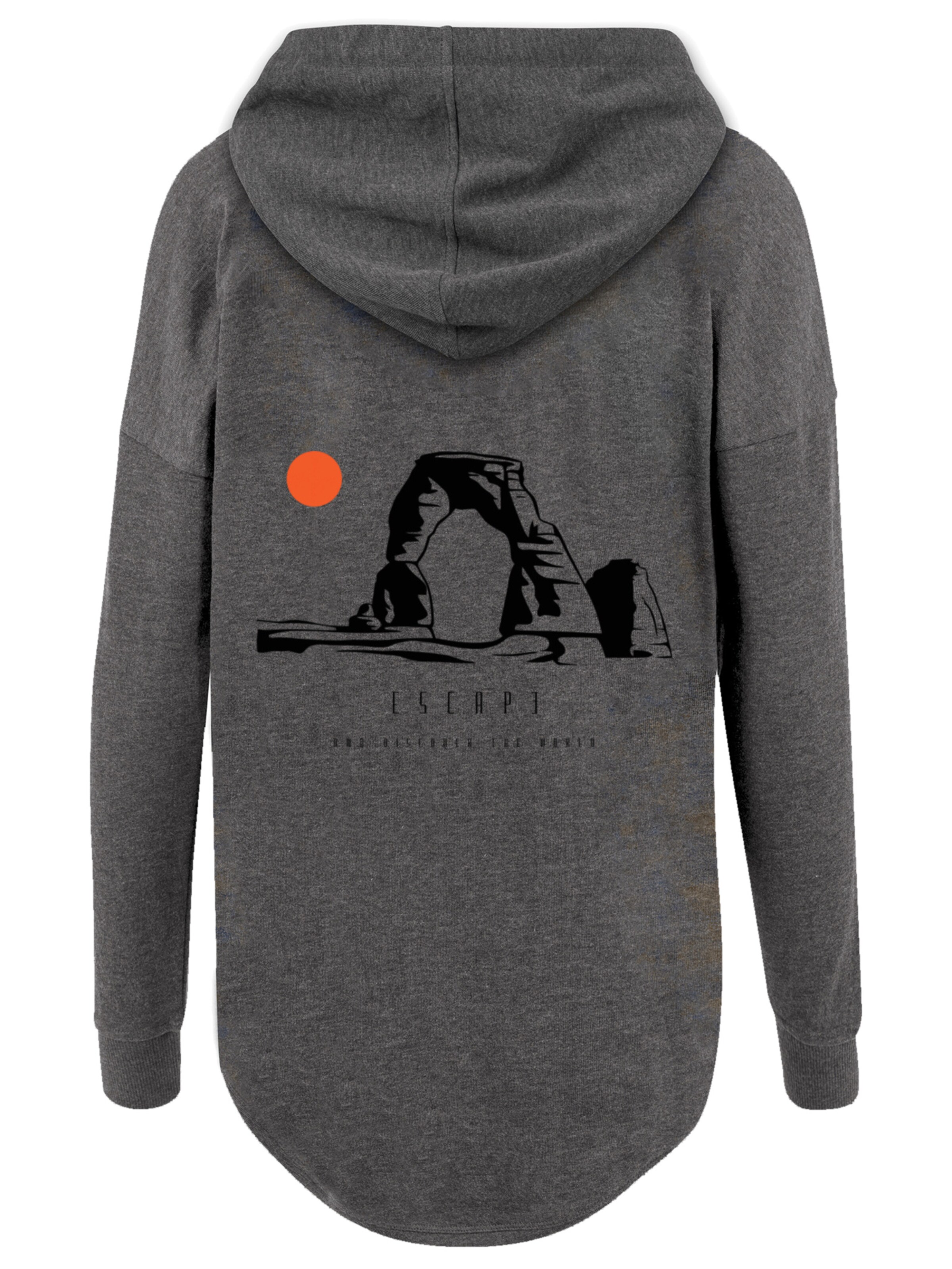 F4NT4STIC Sweatshirt 'Escape Discover the World Savannah' in Grijs