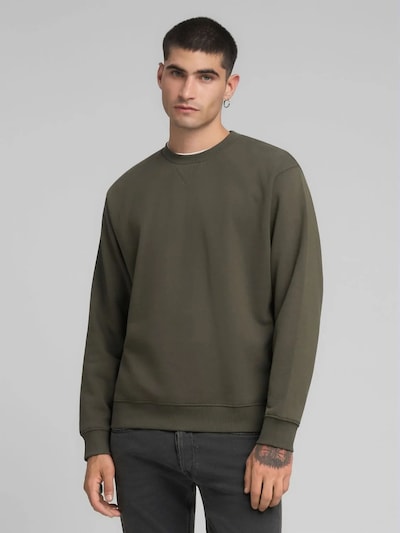 REPLAY Sweatshirt in Green, Item view