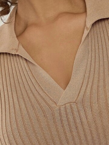 Hiccup - Pullover em castanho