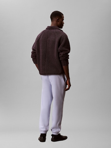 Calvin Klein Tapered Hose in Lila