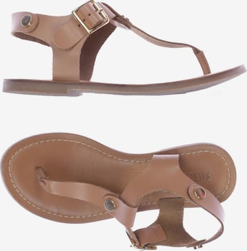 STEVE MADDEN Sandals & High-Heeled Sandals in 36 in Brown: front