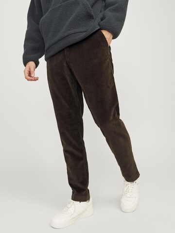 JACK & JONES Tapered Hose in Braun