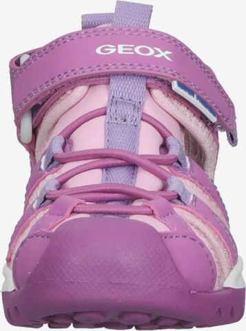 GEOX Sandalen in Lila