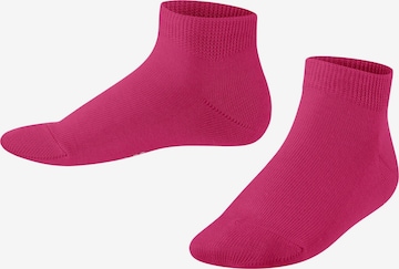 FALKE Socks 'Family' in Pink: front