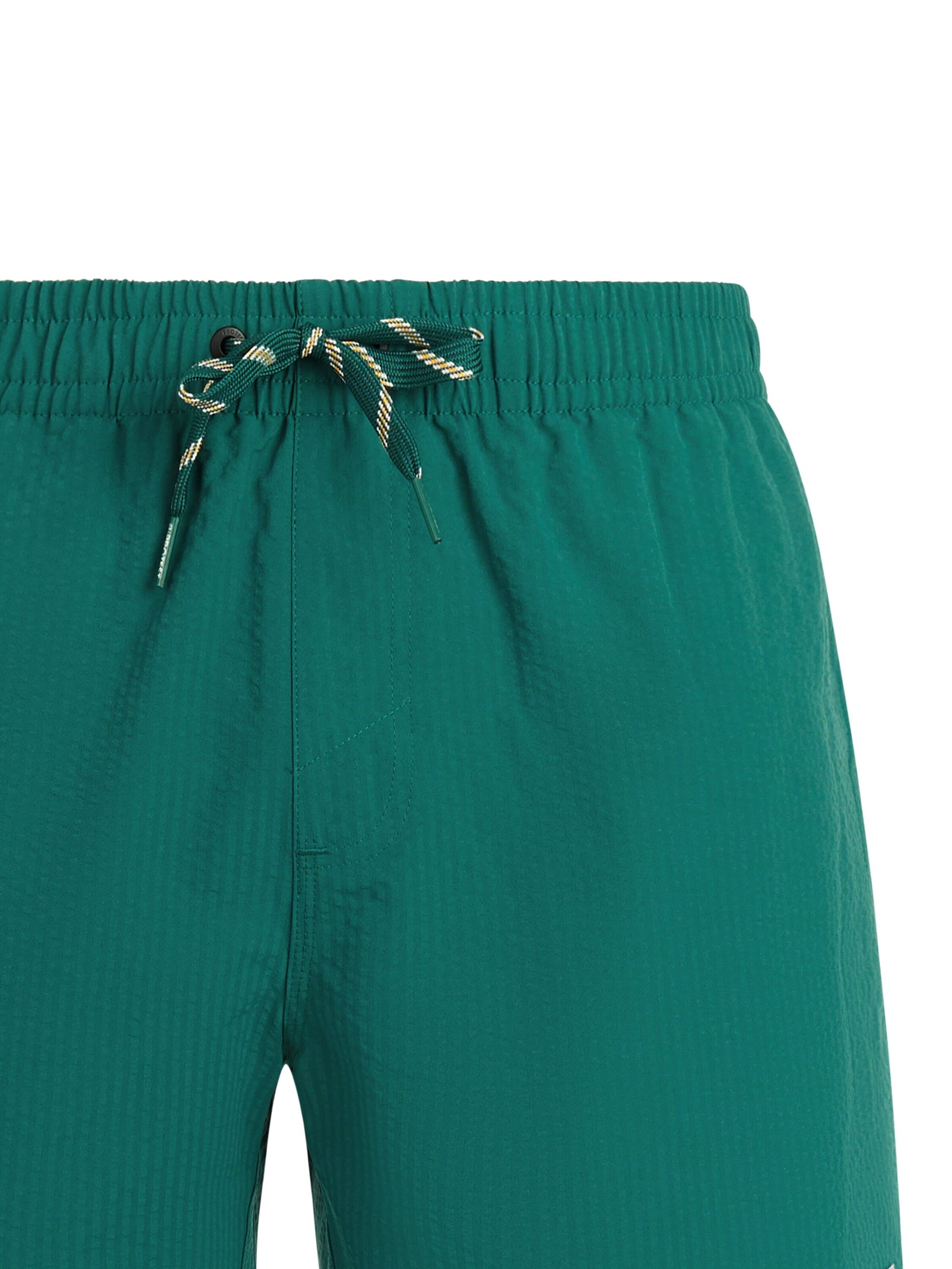 PROTEST Board Shorts 'PRTAgden' in Green