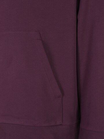 Calvin Klein Big & Tall Sweatshirt in Purple