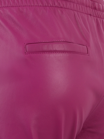 Coupe slim Pantalon 'GIFT' OAKWOOD en violet