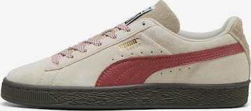 PUMA Sneaker 'Fuzzy' in Beige: Vorderseite