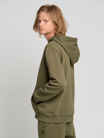 BIG STAR Sweatshirt in Groen