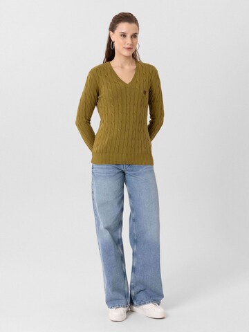 Jacey Quinn Pullover 'Joaquin' in Grün