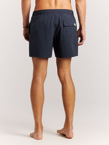 PROTEST Board Shorts 'PRTAgden' in Blue