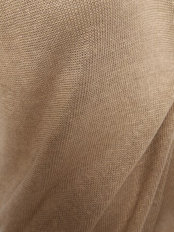 FYNCH-HATTON Sweater in Beige