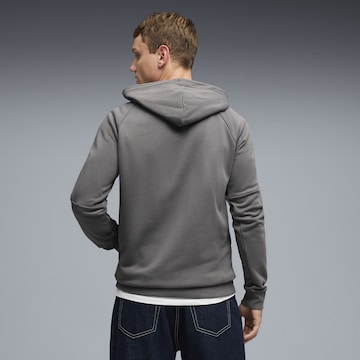 Sweat de sport 'Borussia Mönchengladbach FtblKING' PUMA en gris