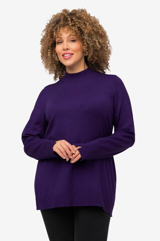 Ulla Popken Sweater in Purple: front