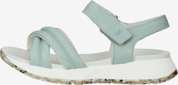 SALAMANDER Strap Sandals in Blue