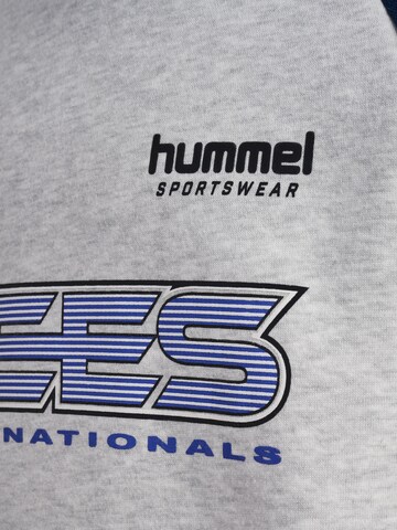 Hummel Sweatshirt i grå