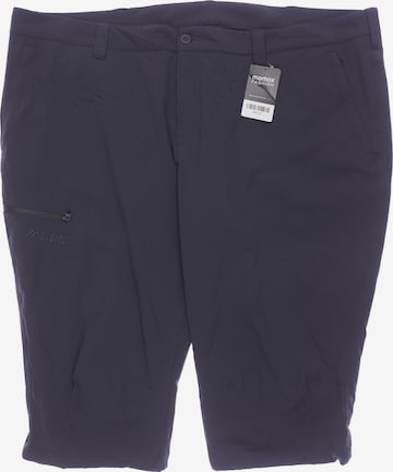 Maier Sports Shorts 46 in Grau: Vorderseite