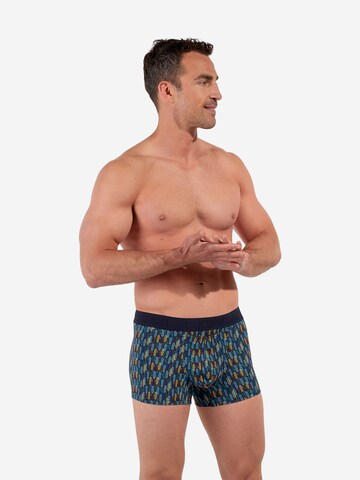 HOM Retro Boxer Briefs ' HO1 Westgate ' in Blau: Vorderseite