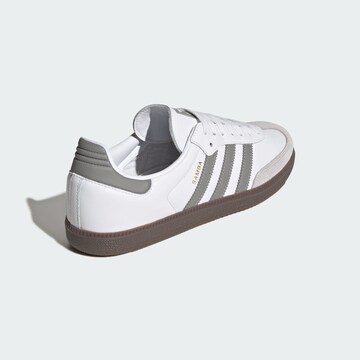 Baskets basses 'Samba' ADIDAS ORIGINALS en blanc