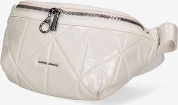 Marsupio di David Jones in beige: frontale