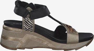 Cetti Sandals 'C1317' in Mixed colors