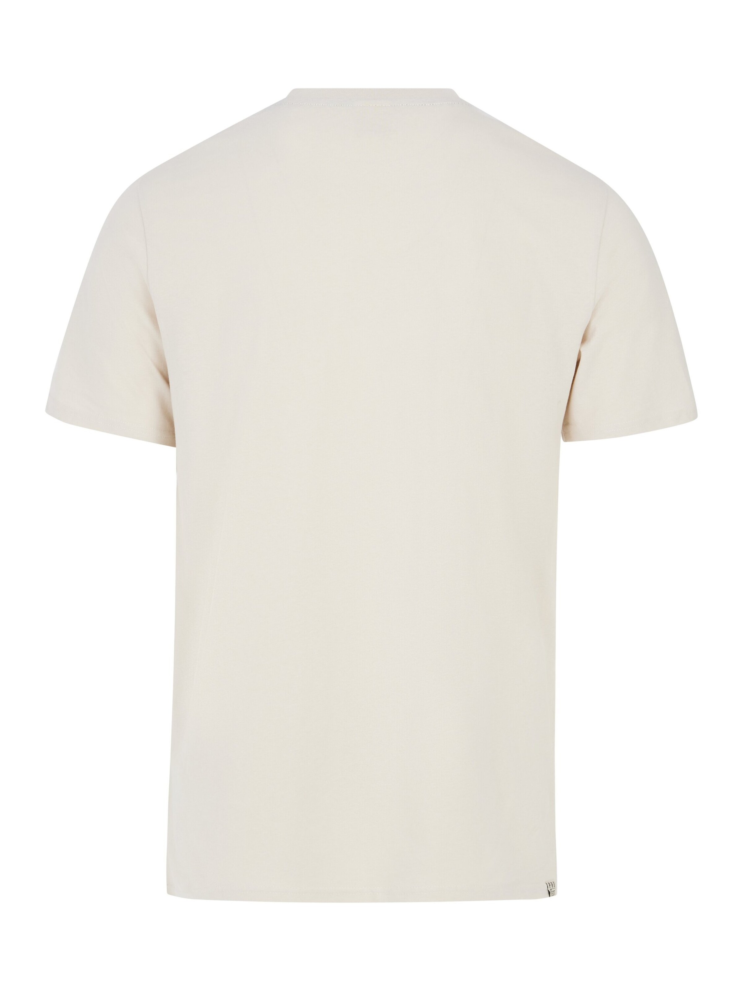 PROTEST Shirt 'PRTAndros' in White