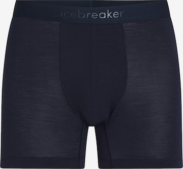 mėlyna ICEBREAKER Boxer trumpikės: priekis