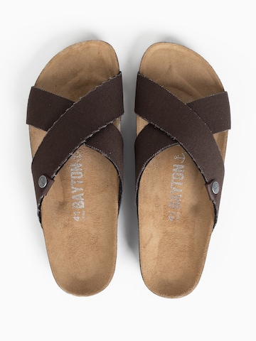 Bayton Muiltjes 'Saxo' in Bruin