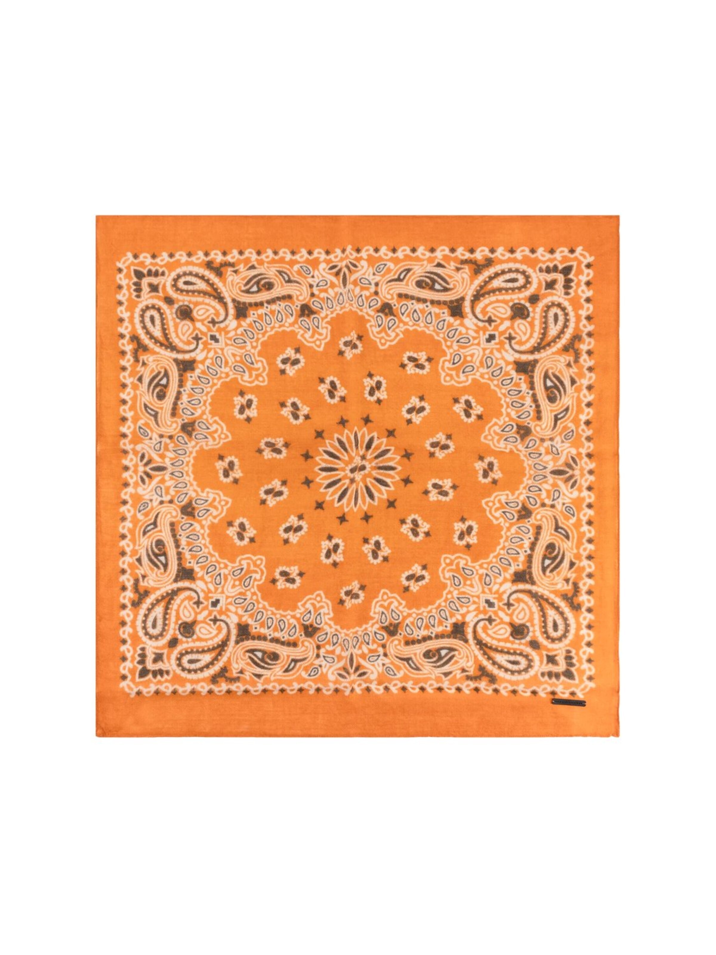 SILK & CASHMERE Schal‌ in Orange: Vorderseite