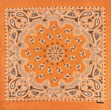 Écharpe SILK & CASHMERE en orange : devant