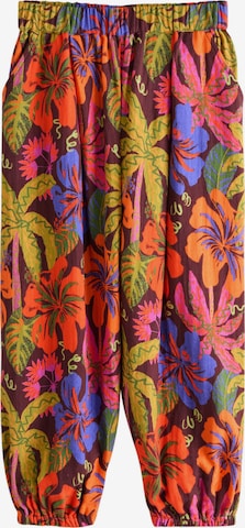 Next Hose in Mischfarben: Vorderseite