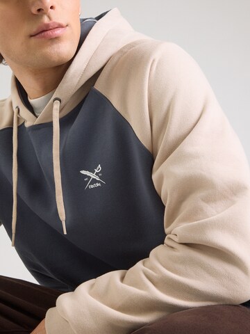 Iriedaily Sweatshirt 'De College' in Grau