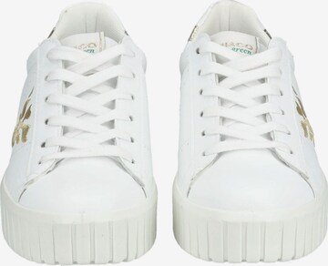 IGI&CO Sneakers in White