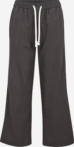 pelēks Noisy May Petite Platas staras Bikses 'NMJESS': no priekšpuses