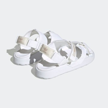 ADIDAS ORIGINALS Sandals 'Adilette Adventure' in White