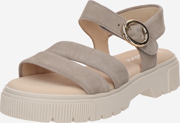 GABOR Sandaler i grå: forside