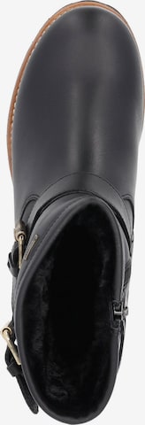 PANAMA JACK Ankle Boots in Black