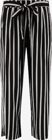 Hailys Široke hlačnice Hlače z naborki 'Ci44ra' | črna barva: sprednja stran
