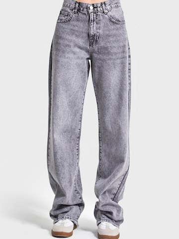 Loosefit Jean 'SOFIA Loose High Rise' IT'S BASIC en gris