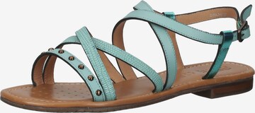 GEOX Sandalen met riem in Groen: voorkant