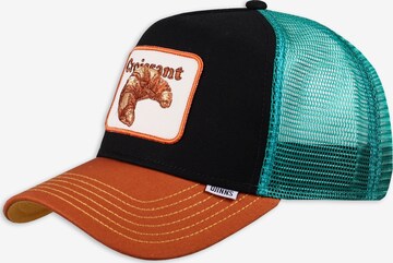 Casquette 'Food Avocados' DJINNS en noir : devant